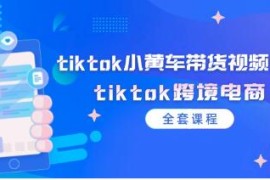 tiktok小黄车带货视频教程，tiktok跨境电商与抖音号运营