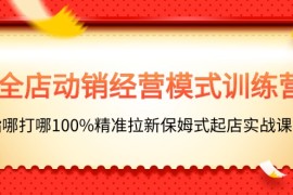 2024最新（11460期）全店动销-经营模式训练营，指哪打哪100%精准拉新保姆式起店实战课程便宜07月06日中创网VIP项目