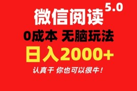 （11216期）微信阅读5.0玩法！！0成本掘金 无任何门槛 有手就行！一天可赚200+，06月24日中创网VIP项目