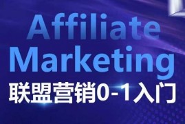 2024最新​​​​​​AffiliateMarketing联盟营销0-1入门，联盟营销基本逻辑联盟平台逻辑及联盟客逻辑全面详解12-19冒泡网