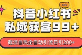 赚钱项目（13421期）某音，小红书，野路子引流玩法截流自热一体化日引200+精准粉单日变现3&#8230;11-22中创网