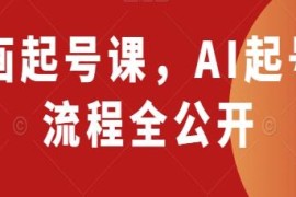 AI动画起号课，AI起号制作流程全公开加抖音号运营