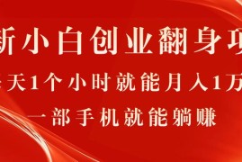 （11250期）最新小白创业翻身项目，每天1个小时就能月入1万+，0门槛，一部手机就能&#8230;，06月24日中创网VIP项目