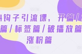 实战2024钩子引流课，开篇/定位篇/标签篇/破播放篇/涨粉篇便宜08月12日冒泡网VIP项目