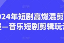 赚钱项目2024年短剧高燃混剪教程—音乐短剧剪辑玩法便宜07月23日冒泡网VIP项目