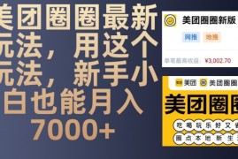 最新项目美团圈圈最新玩法，用这个玩法，新手小白也能月入7000+11-27冒泡网