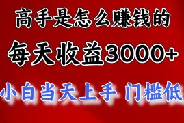 （11228期）高手是怎么赚钱的，一天收益3000+ 这是穷人逆风翻盘的一个项目，非常…，06月23日中创网VIP项目