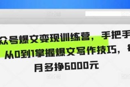 2024最新公众号爆文变现训练营，手把手教你，从0到1掌握爆文写作技巧，每个月多挣6000元11-17冒泡网