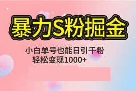 实战（12778期）单人单机日引千粉，变现1000+，S粉流量掘金计划攻略09-28中创网