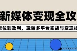 AI新媒体变现全攻略，从定位到盈利，玩转多平台实战与变现技巧跟抖音号运营