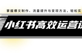 最新项目（12369期）小红书高效运营课：掌握爆文制作、流量提升与变现方法，轻松实现盈利08-29中创网