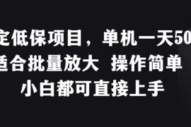 2024最新稳定低保项目，单机一天50+适合批量放大 操作简单 小白都可直接上手【揭秘】便宜07月18日冒泡网VIP项目