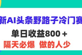 每天（11983期）最新AI头条野路子冷门赛道，单日800＋隔天必爆，适合小白便宜08月04日中创网VIP项目