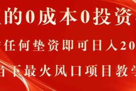 每天（11387期）真正的0成本0投资项目，无需任何垫资即可日入2000+，当下最火风口项目教学，07月02日中创网VIP项目