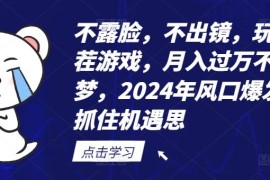 热门项目不露脸，不出镜，玩转找茬游戏，月入过万不是梦，2024年风口爆发，抓住机遇【揭秘】便宜07月29日冒泡网VIP项目