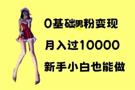 赚钱项目0基础男粉s粉变现，月入过1w+，操作简单，新手小白也能做【揭秘】12-14冒泡网