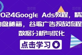 赚钱项目2024GoogleAds教程，精准询盘秘籍，谷歌广告投放流程，数据分析与优化便宜08月10日冒泡网VIP项目