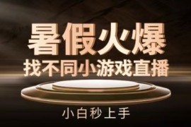 每天暑假火爆找不同小游戏直播间，小白秒上手【揭秘】便宜07月07日冒泡网VIP项目