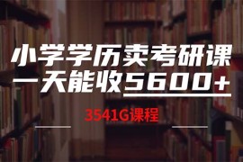 实战（12556期）小学学历卖考研课程，一天收5600（附3580G考研合集）09-12中创网