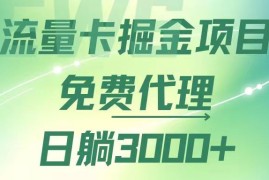 实战（12321期）流量卡掘金代理，日躺赚3000+，变现暴力，多种推广途径08-25中创网