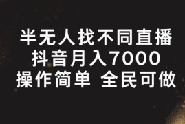 每天半无人找不同直播，月入7000+，操作简单 全民可做【揭秘】，06月29日冒泡网VIP项目