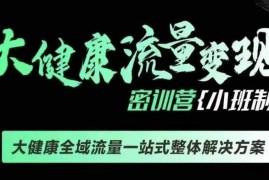 简单项目千万级大健康变现课线下课，大健康全域流量一站式整体解决方案12-19冒泡网