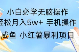 简单项目（11953期）2024热门暴利手机操作项目，简单无脑操作，每单利润最少500便宜08月03日中创网VIP项目