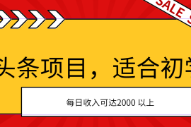 最新项目（11384期）AI头条项目，适合初学者，次日开始盈利，每日收入可达2000元以上，07月02日中创网VIP项目