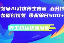 每日视频号AI武术养生赛道，五分钟一条原创视频，带货单日几张，养生粉丝快速涨粉【揭秘】08-22冒泡网