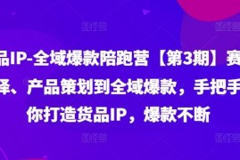 每日货品IP全域爆款陪跑营【第3期】赛道选择、产品策划到全域爆款，手把手教你打造货品IP，爆款不断便宜08月10日冒泡网VIP项目