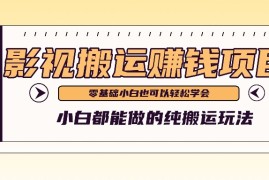 最新项目手把手教你操作影视搬运项目，小白都能做零基础也能赚钱便宜07月14日福缘网VIP项目