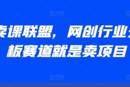 每天AI卖课联盟，网创行业天花板赛道就是卖项目11-20冒泡网