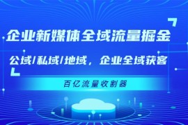 每天（11666期）企业新媒体全域流量掘金：公域/私域/地域企业全域获客百亿流量收割器便宜07月18日中创网VIP项目