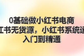 0基础做小红书电商，小红书无货源系统运营，入门到精通及抖音号运营