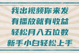 2024最新（13667期）不剪辑不直播不露脸，有播放就有收益，轻松月入五位数，新手小白轻松上手12-13中创网