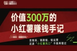 每天价值300万的小红书赚钱手记，变现高、链路短、轻运营，这波“小红薯风口”不能再错过便宜07月10日冒泡网VIP项目