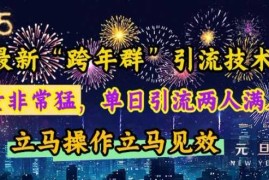 2024最新最新“跨年群”引流，流量非常猛，单日引流两人满人群，立马操作立马见效【揭秘】12-20冒泡网