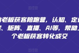 每天实体老板获客陪跑营，认知、定位、文案、矩阵、直播、AI等，帮助上万个老板获客转化成交便宜08月06日冒泡网VIP项目