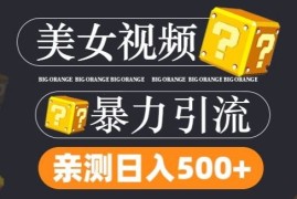 2024最新搬运tk美女视频全网分发，日引s粉300+，轻松变现，不限流量不封号【揭秘】08-14冒泡网