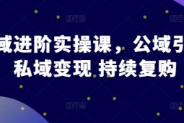 实战私域进阶实操课，公域引流私域变现持续复购11-22冒泡网