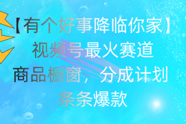 2024最新（11564期）有个好事降临你家：视频号最火赛道，商品橱窗，分成计划条条爆款，每&#8230;便宜07月11日中创网VIP项目