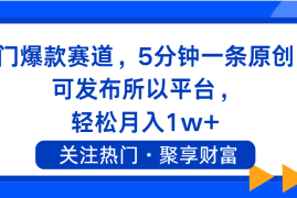 2024最新（11810期）热门爆款赛道，5分钟一条原创，可发布所以平台，轻松月入1w+便宜07月26日中创网VIP项目