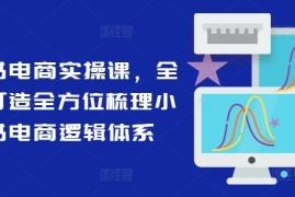 最新项目小红书电商实操课，全体系打造全方位梳理小红书电商逻辑体系便宜08月06日冒泡网VIP项目