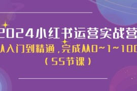 2024小红书运营实战营，从入门到精通，完成从0~1~100（51节课），06月24日福缘网VIP项目