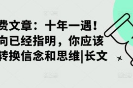 热门项目某付费文章：十年一遇！当方向已经指明，你应该立刻转换信念和思维|长文10-03冒泡网