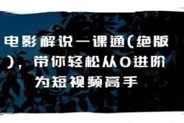 赚钱项目电影解说一课通(绝版)，带你轻松从0进阶为短视频高手，06月27日冒泡网VIP项目