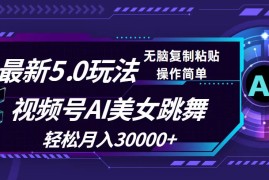 热门项目（12284期）视频号5.0最新玩法，AI美女跳舞，轻松月入30000+08-24中创网