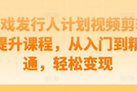 创业项目游戏发行人计划视频剪辑提升课程，从入门到精通，轻松变现09-13冒泡网