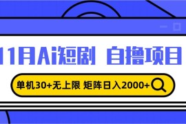 最新项目（13375期）11月ai短剧自撸，单机30+无上限，矩阵日入2000+，小白轻松上手11-18中创网