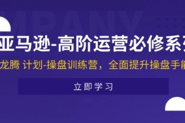 简单项目（11625期）亚马逊-高阶运营必修系列，龙腾计划-操盘训练营，全面提升操盘手能力便宜07月15日中创网VIP项目